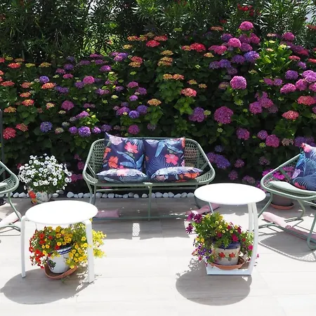 Gure Xokoa 乌瑞基尼