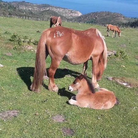 Gure Xokoa 公寓 乌瑞基尼
