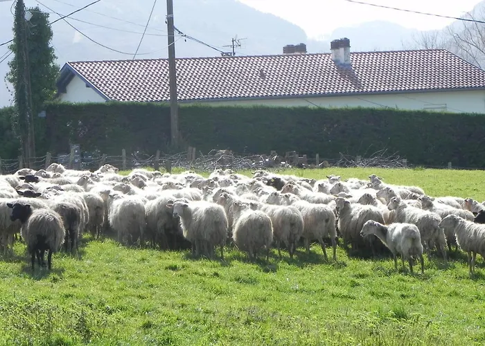 Gure Xokoa * Urrugne